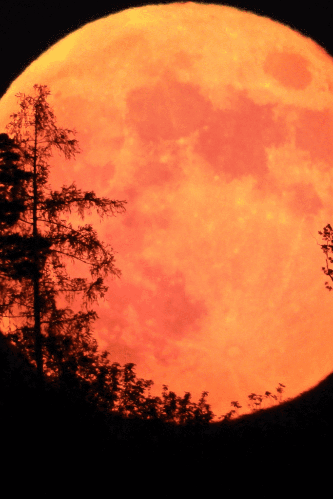 Full Moon, Halloween